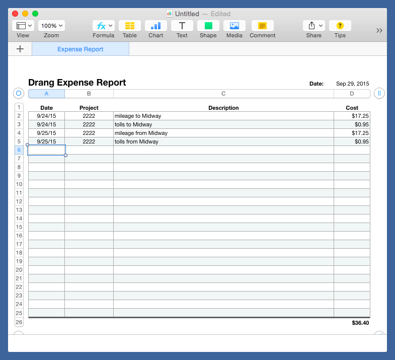 Expense report