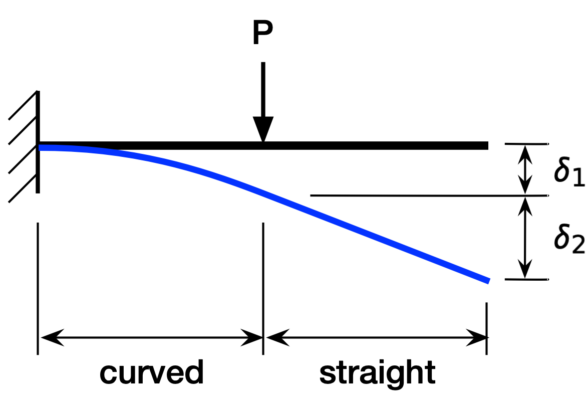 Curved and straight portions of cantilever beam