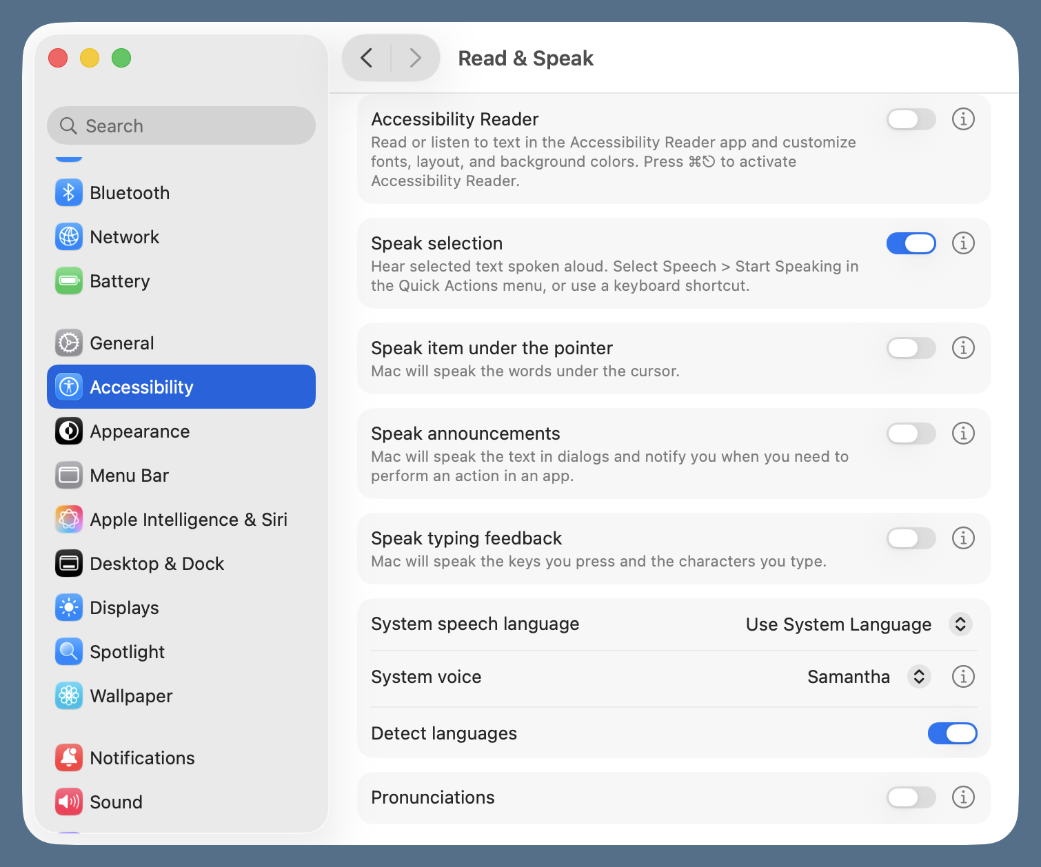 Speak selection setting