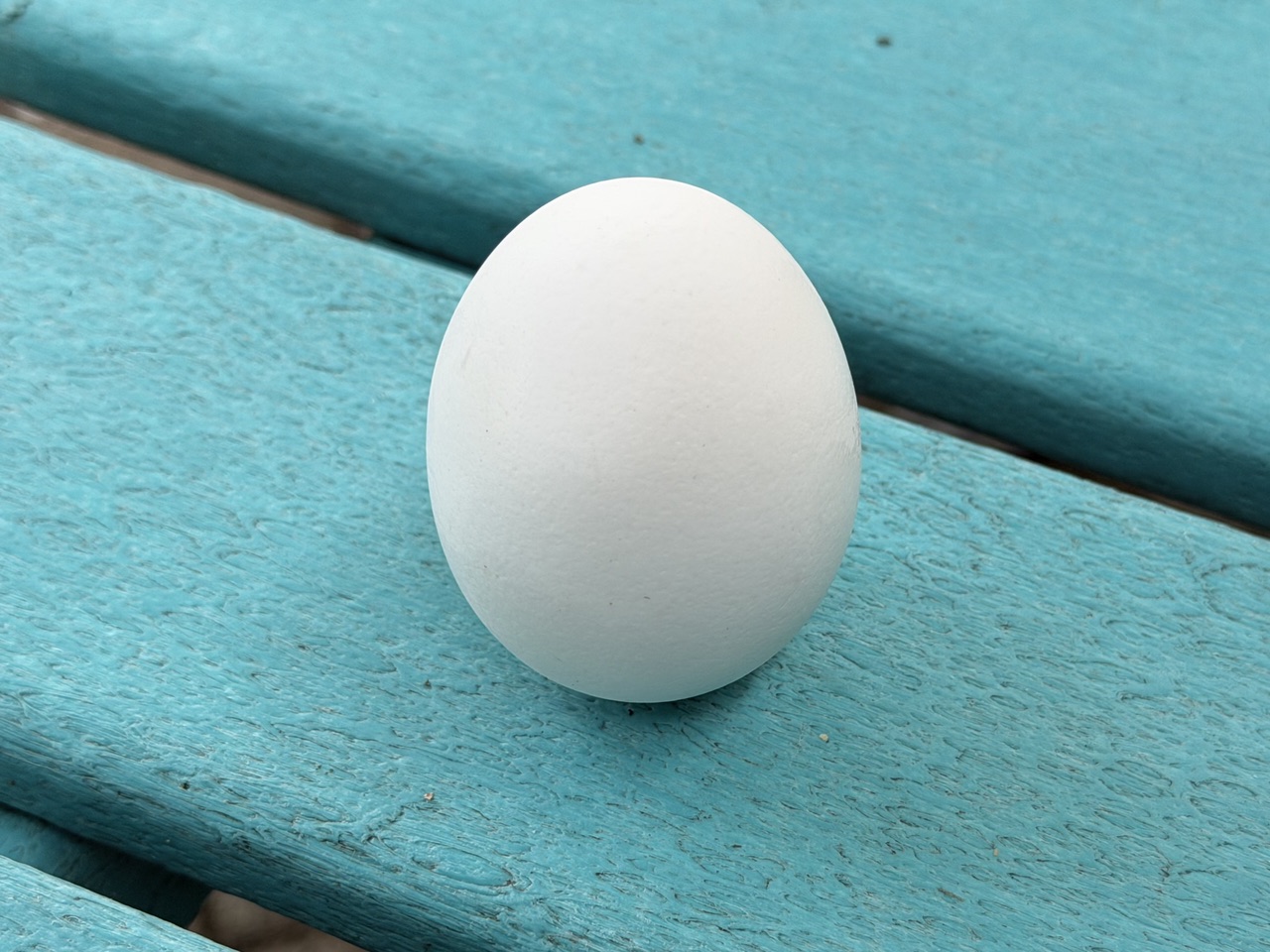 Egg balanced on its end